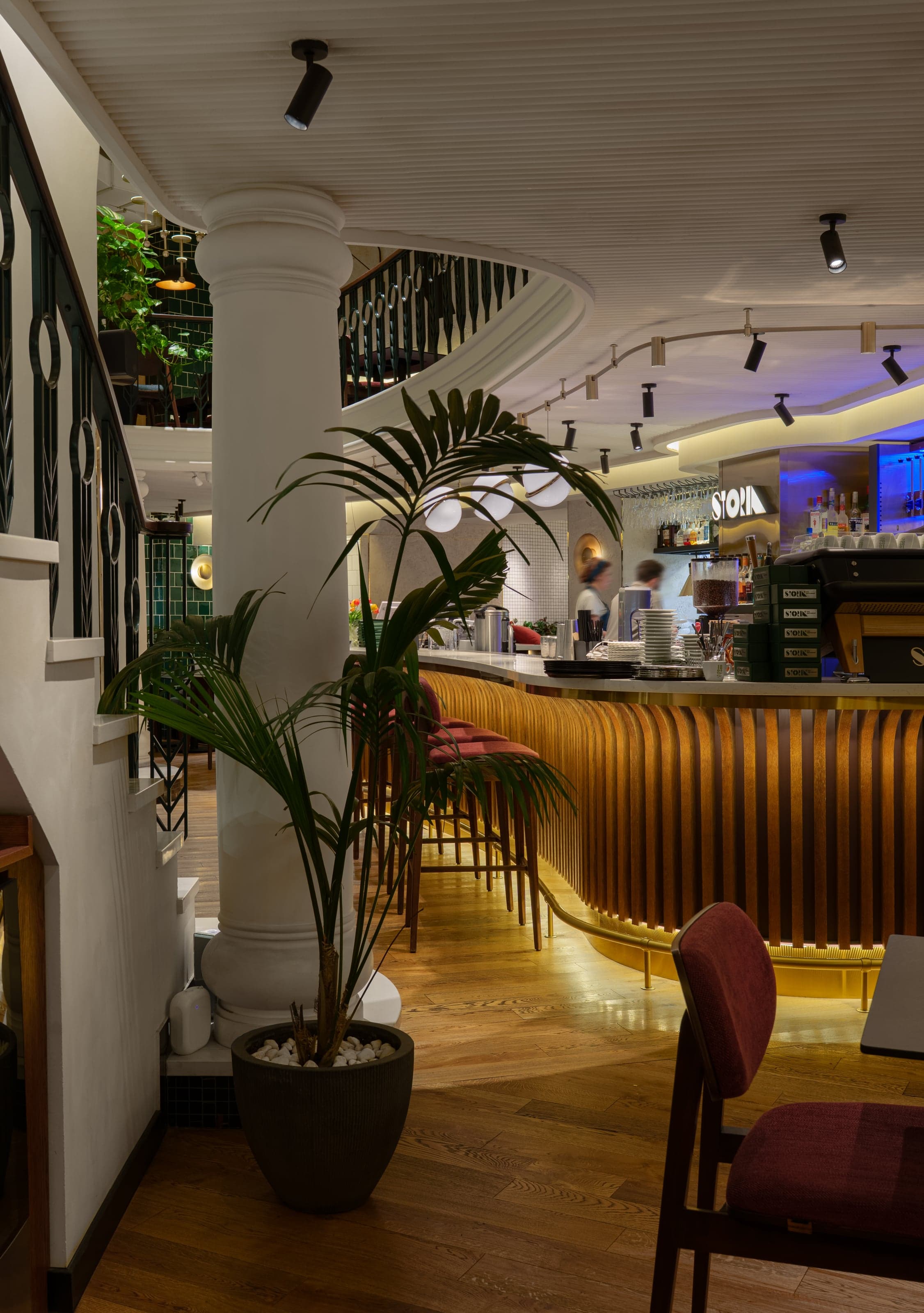Elegant dining space with architectural lighting